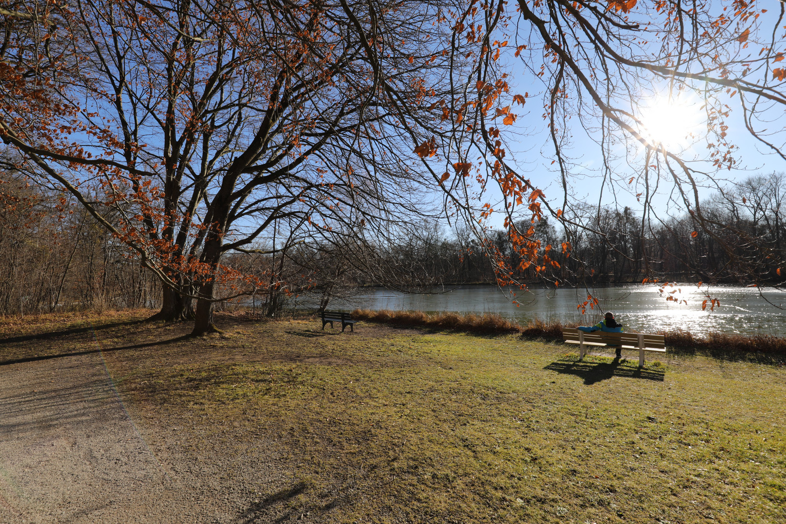 Die Wintersonne im Nymphenburger Park