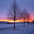 Die Wintersonne ist die schönste!