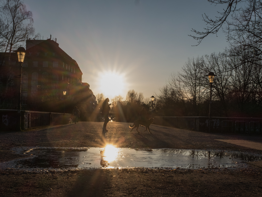 Die Wintersonne lockt