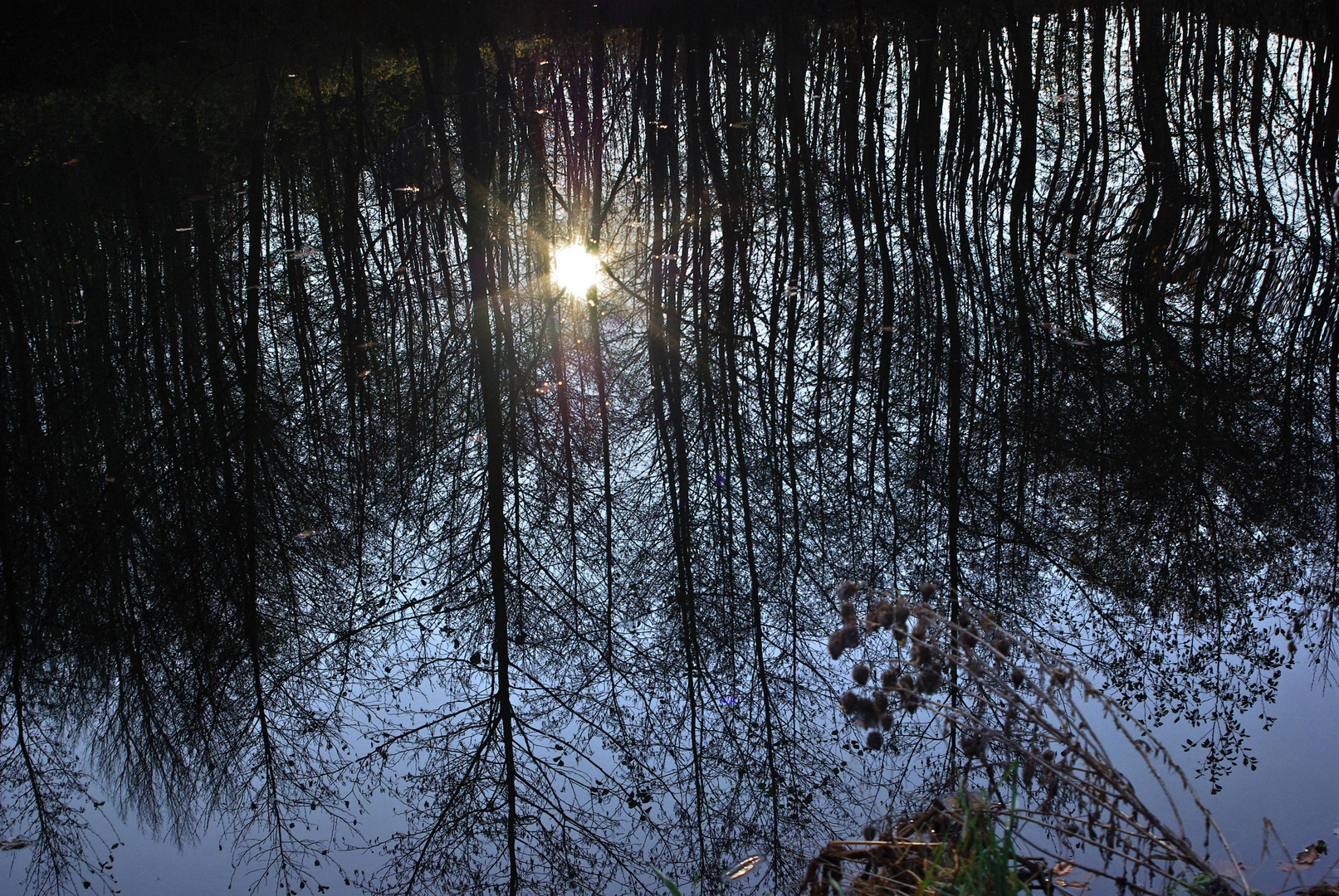 Die Wintersonne spiegelt sich