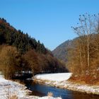 ... Die Winterversammlung der Kormorane an der Nagold ( 1-b ) ...