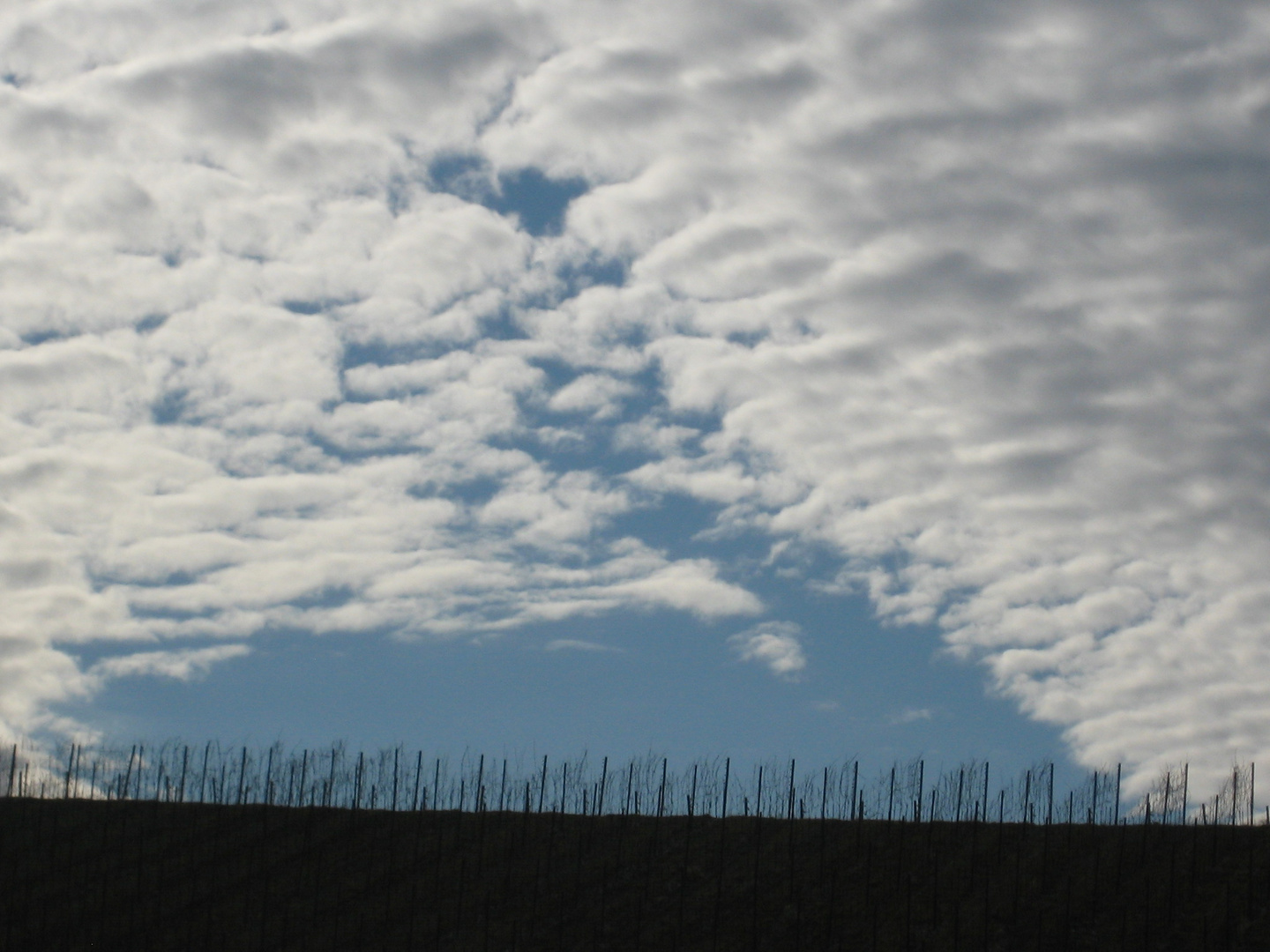 Die Winterwolken lassen ein Blick zum Frühling zu