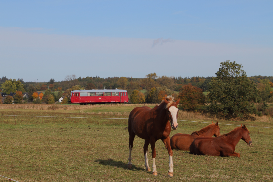 Die Wisentatalbahn