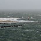 Die Witte Kliff auf dem Weg zur Düne Helgoland