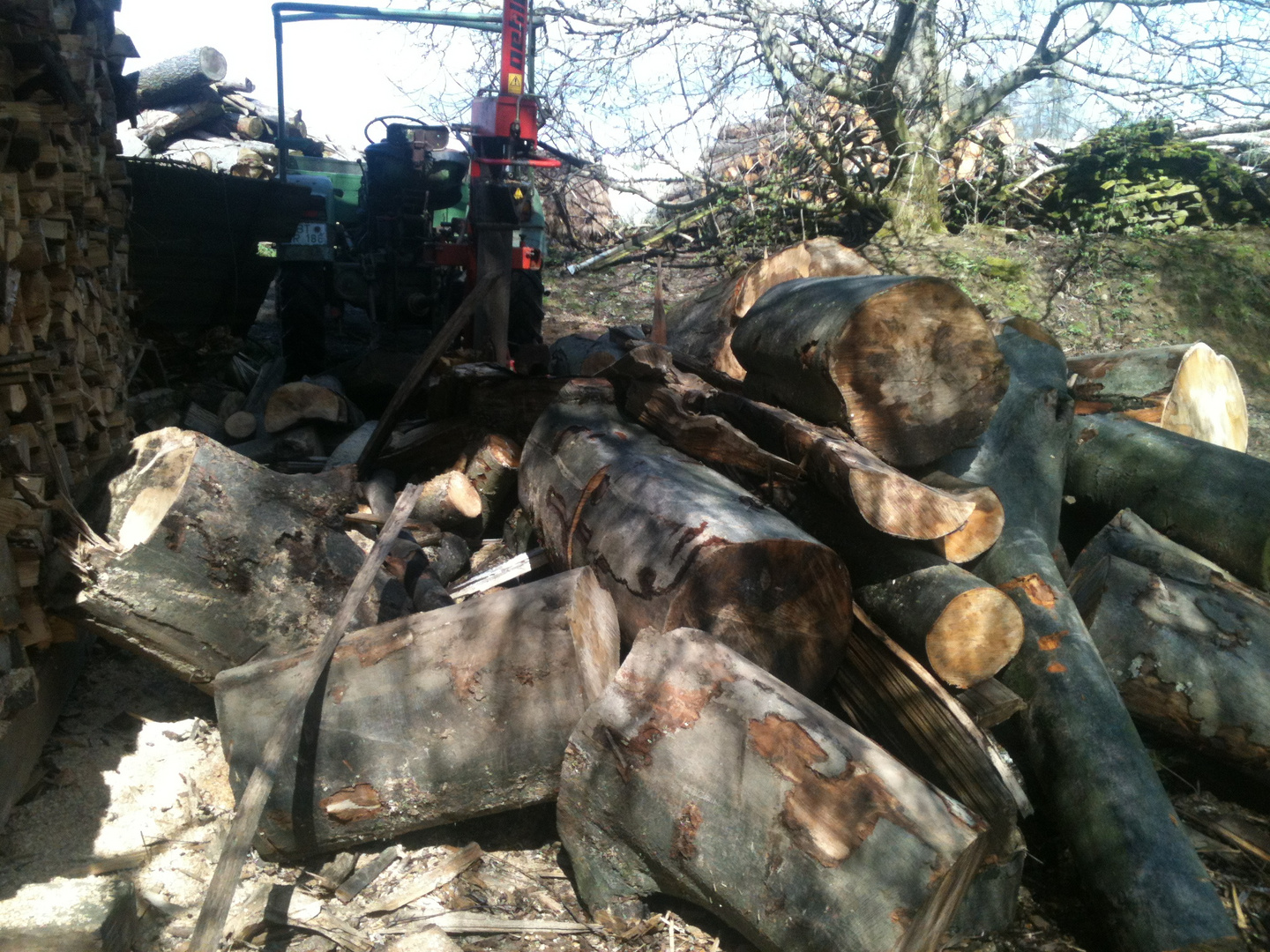 Die Woche fängt schon gut an :-) HOLZSPALTEN BUCHENSTÄMME