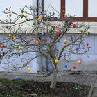 Die Woche vor Ostern – letzte wichtige Hinweise, für den Osterschmuck: