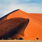 Die wohl bekannteste Düne in Afrika