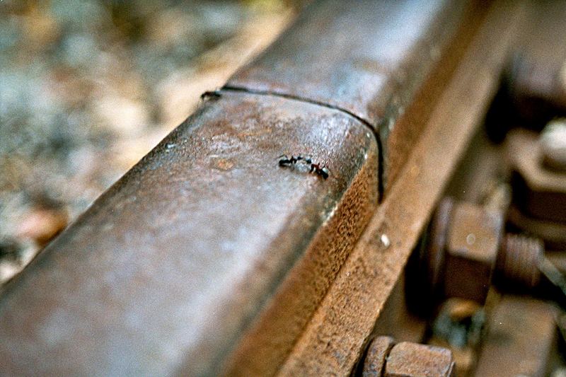 Die wohl kleinsten Lokomotiven der Welt