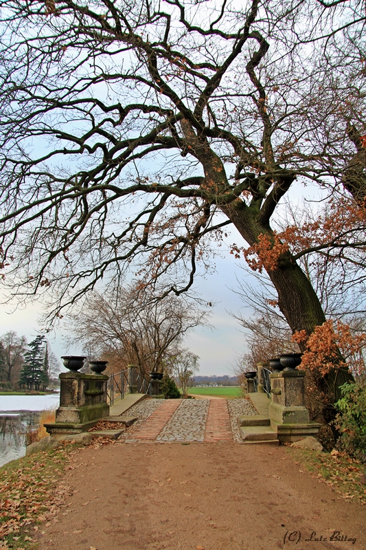 Die Wolfsbrücke im Wörlitzer Park