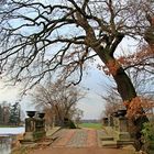 Die Wolfsbrücke im Wörlitzer Park