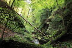 Die Wolfschlucht im Neckartal