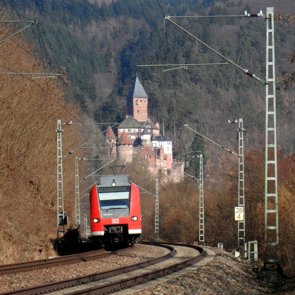 Die Wolfsschlucht