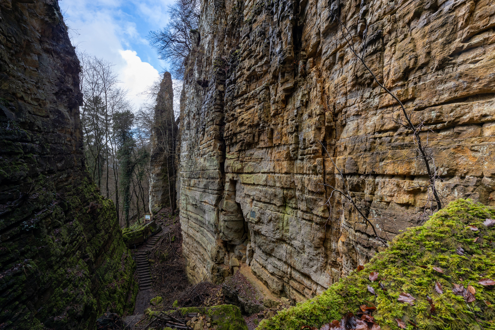 Die Wolfsschlucht 