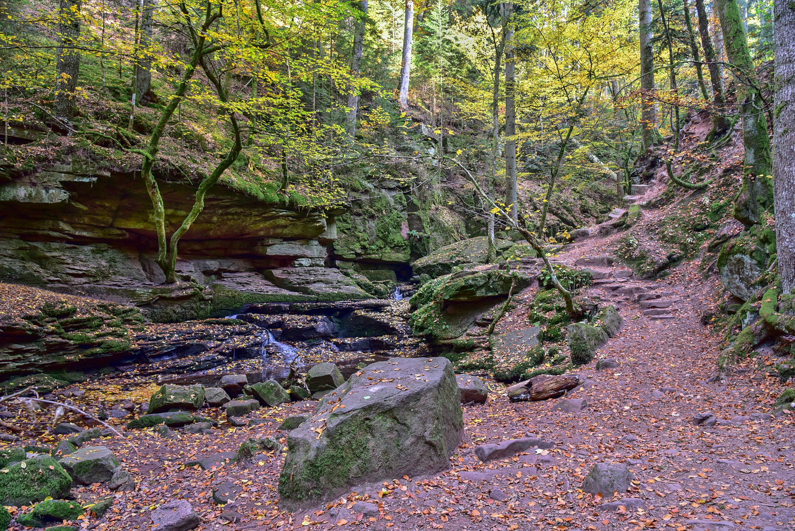 Die Wolfsschlucht im Monbachtal