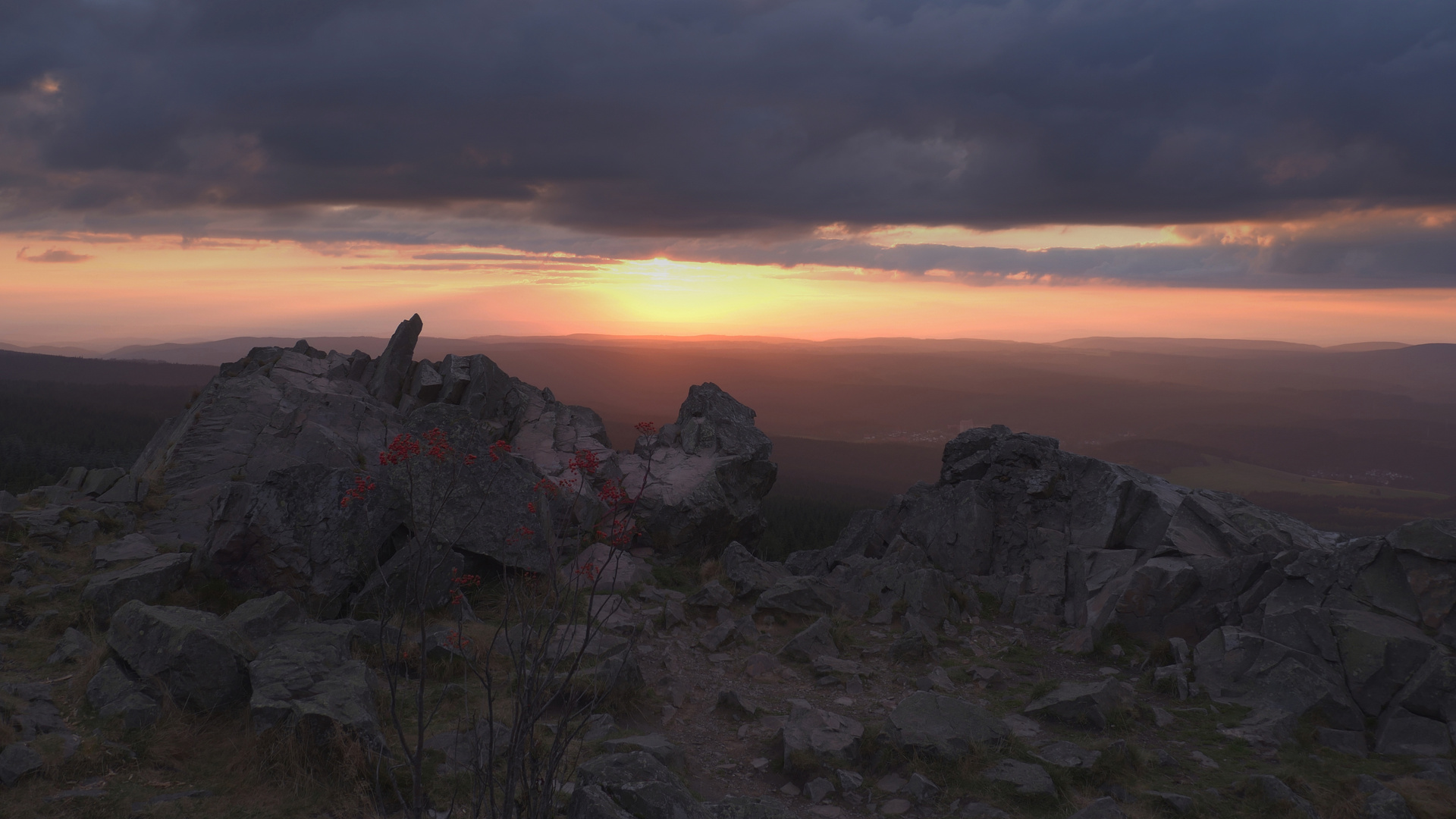 Die Wolfswarte (Harz)