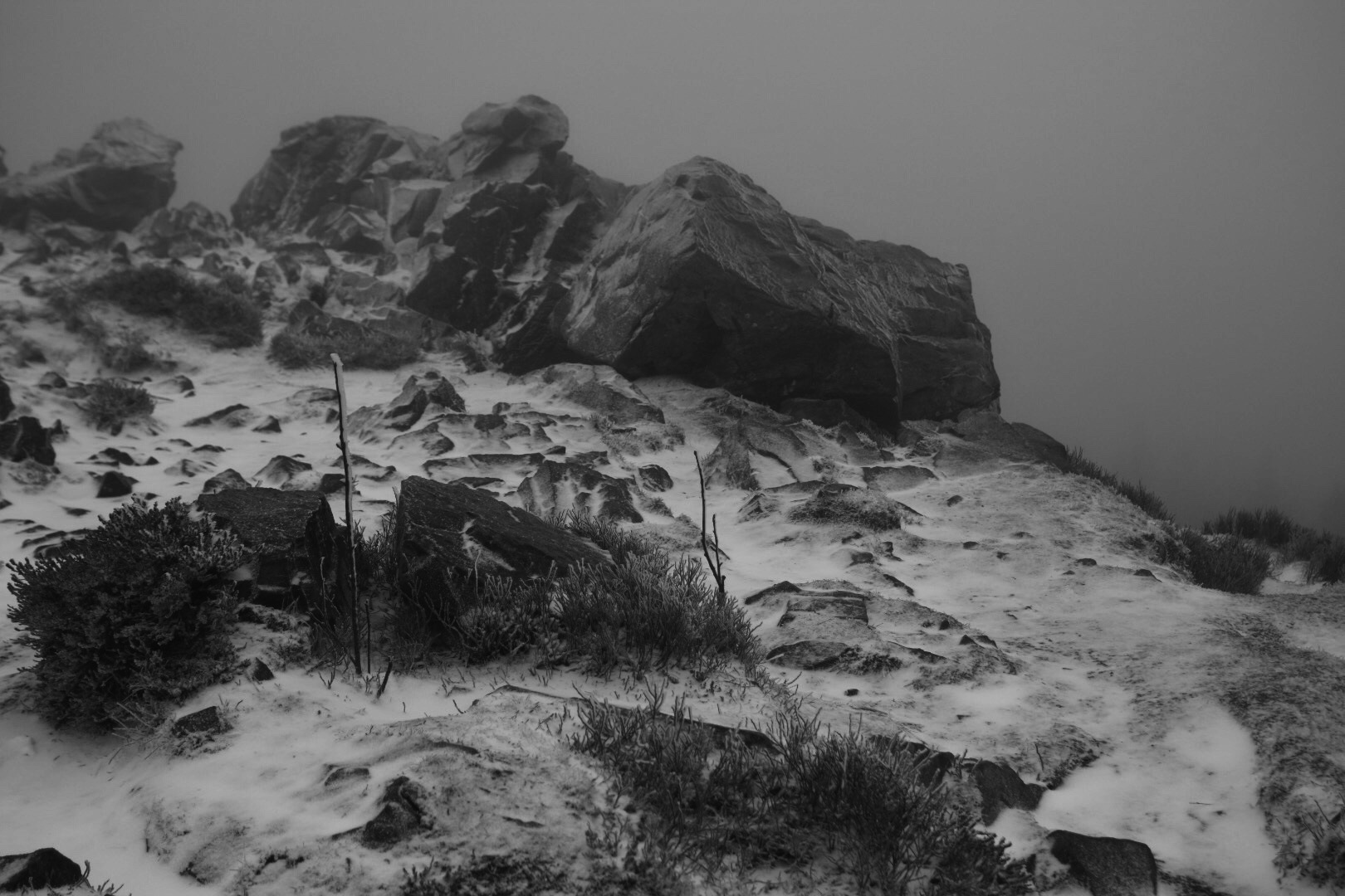 Die Wolfswarte im Oberharz