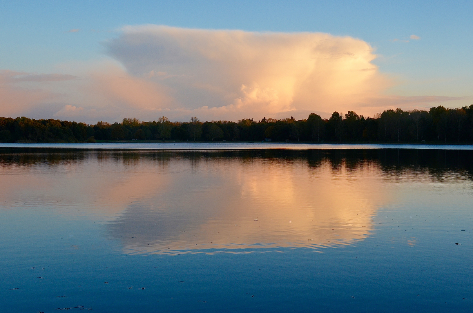 Die Wolke 1 - 1