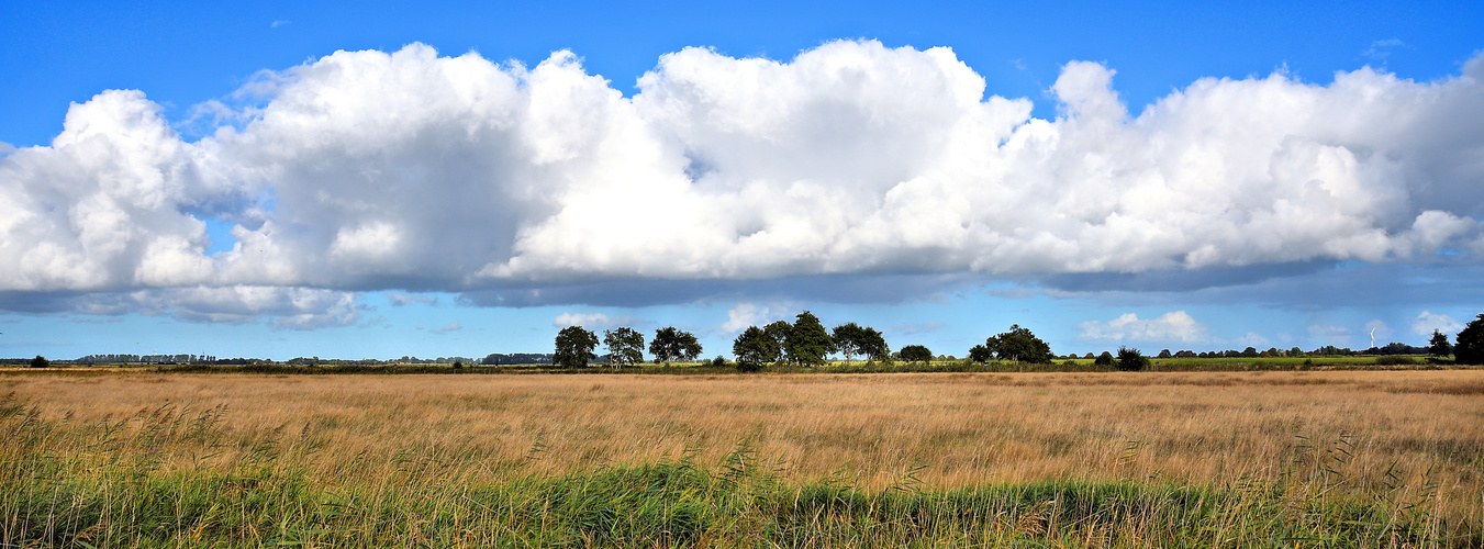 Die Wolke