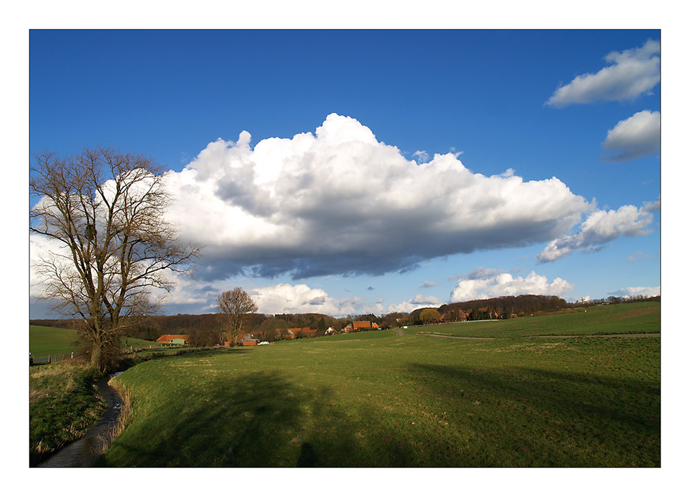 Die Wolke