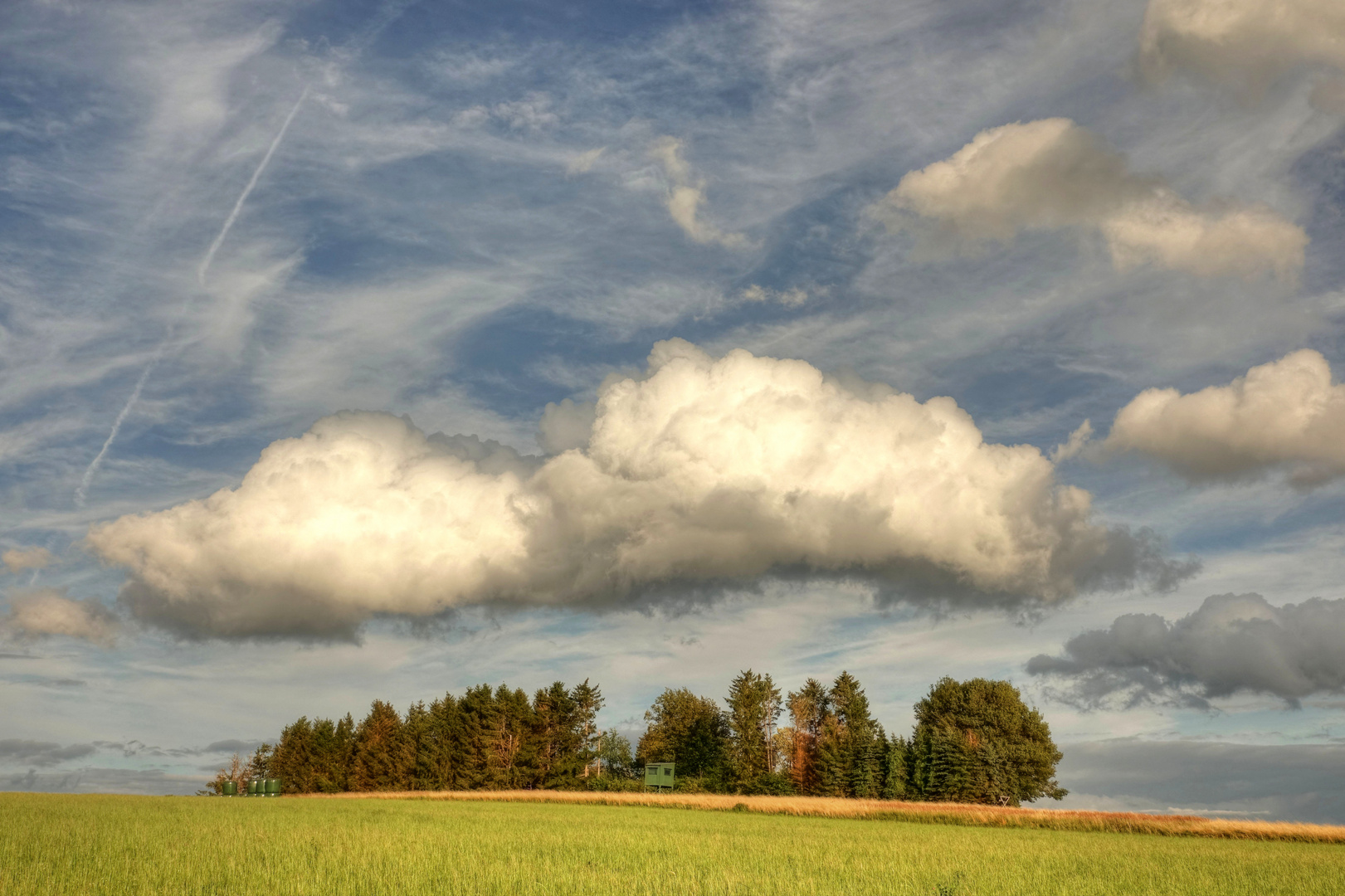 Die Wolke 