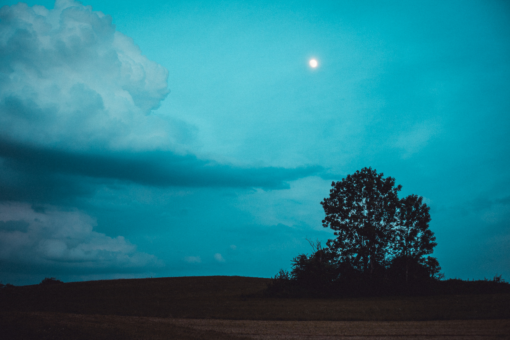 Die Wolke, der Mond und der Baum