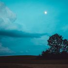 Die Wolke, der Mond und der Baum