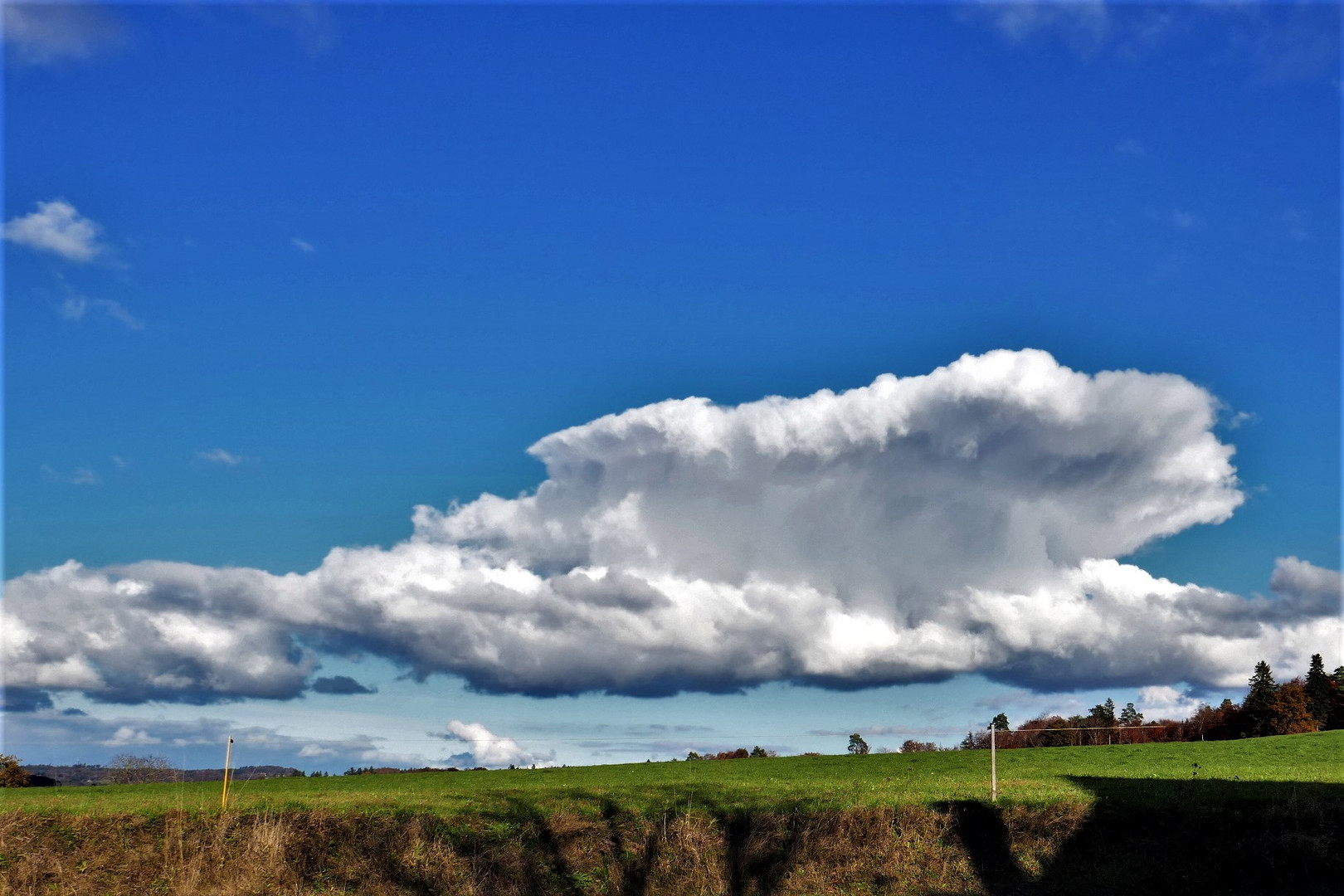 Die Wolke, die hustet.