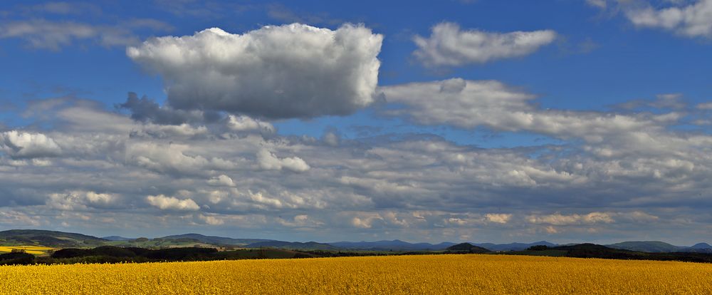 Die Wolke...