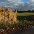 Die Wolke in der Pfütze