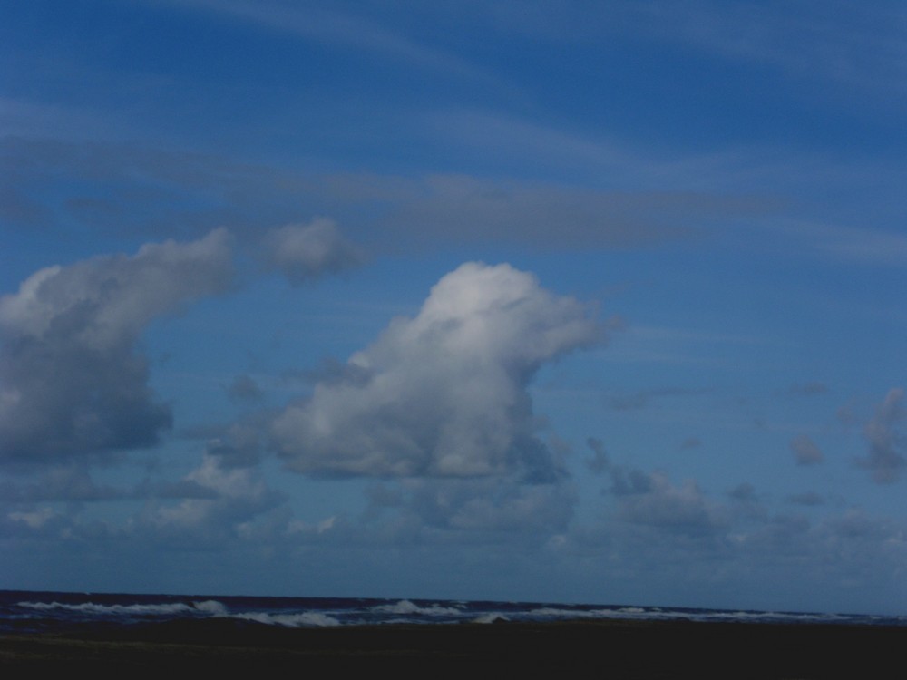 Die Wolke Knut / oder die Wolke Flocke ?