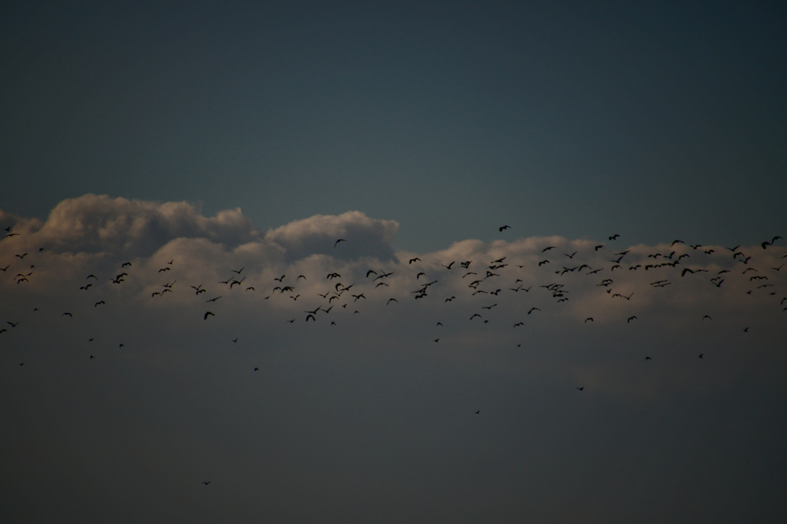 Die Wolke vor der Wolke