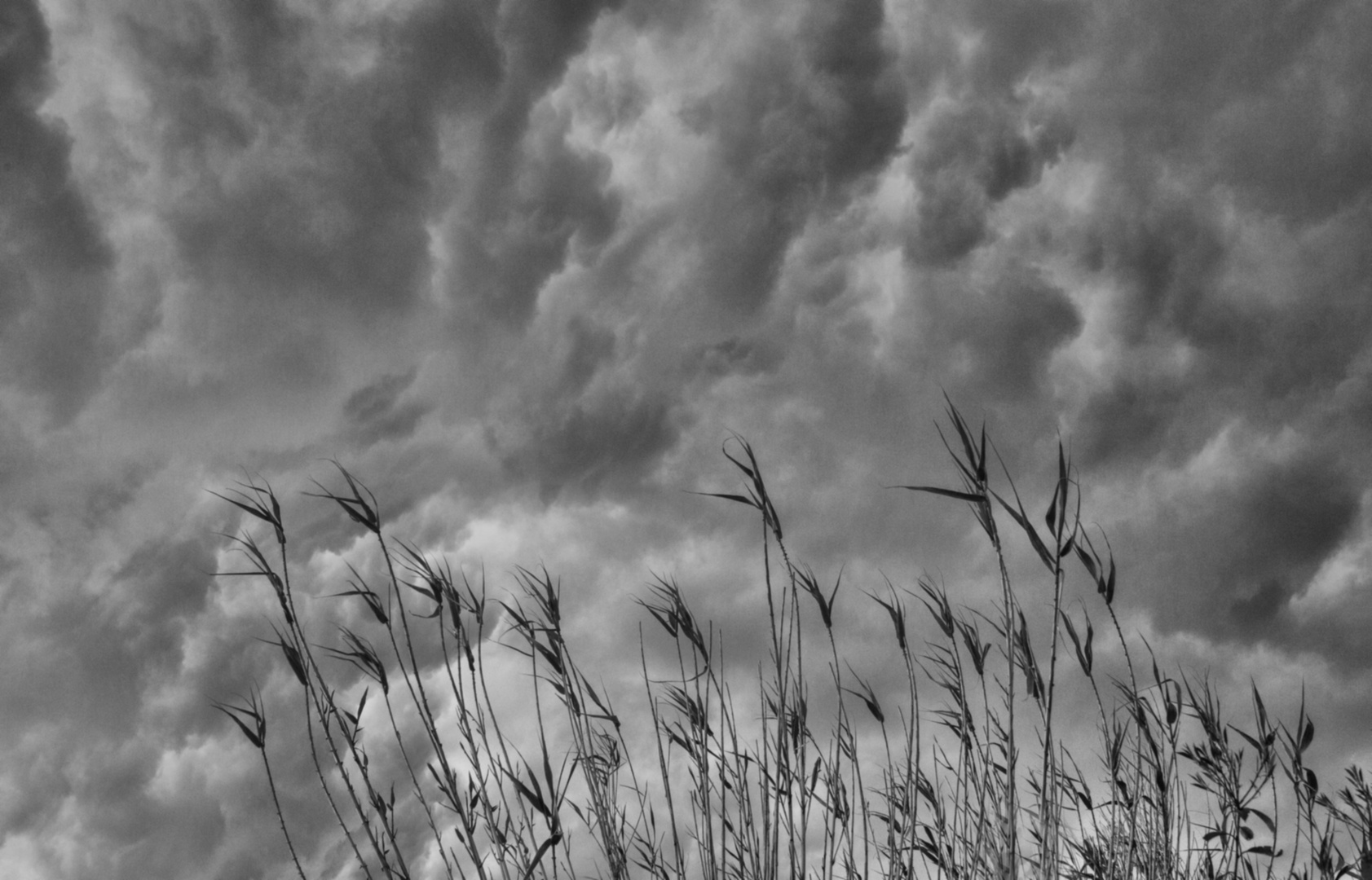 die Wolken bringen den Regen, auf den die Bauern gewartet haben...