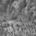 die Wolken bringen den Regen, auf den die Bauern gewartet haben...