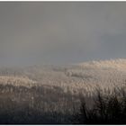 die Wolken hängen tief