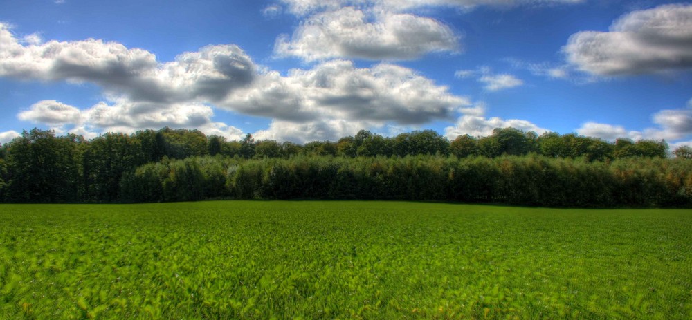 Die Wolken im Wind