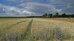 Die Wolken ziehen ab