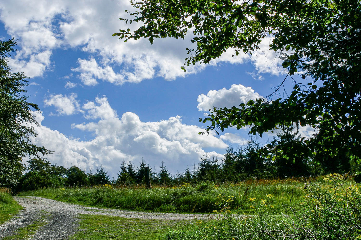 Die Wolken ziehen