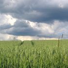 Die Wolken ziehen doch wieder auf!