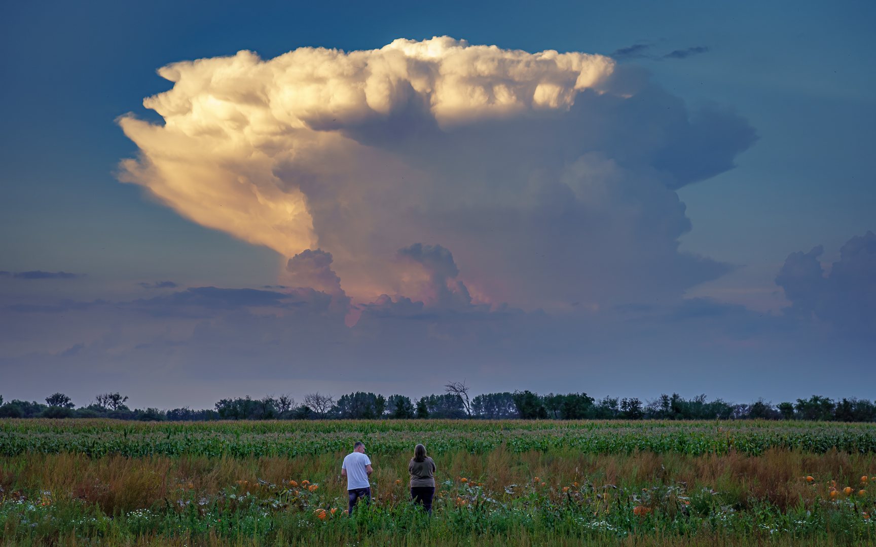 Die Wolkenbeobachterin und der Wolkenbeobachterin-Beobachter