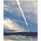 Die Wolken|Das Flugzeug|Die Vögel
