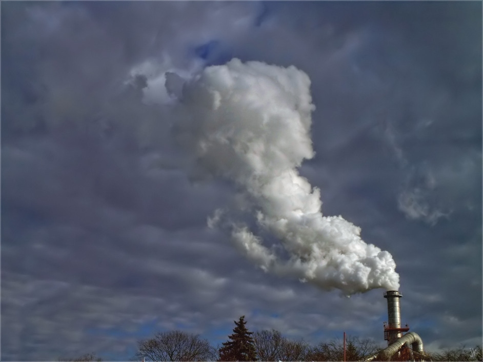 die wolkenfabrik