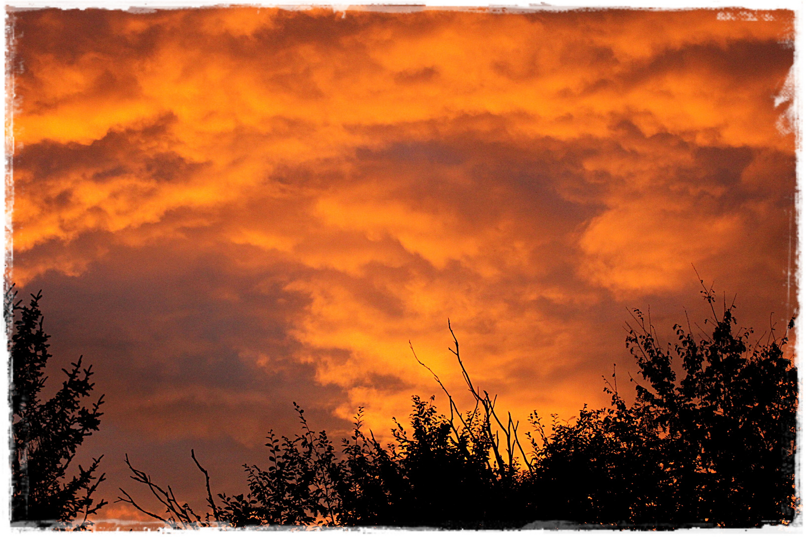 Die Wolkenfront in Orange