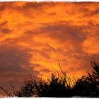 Die Wolkenfront in Orange