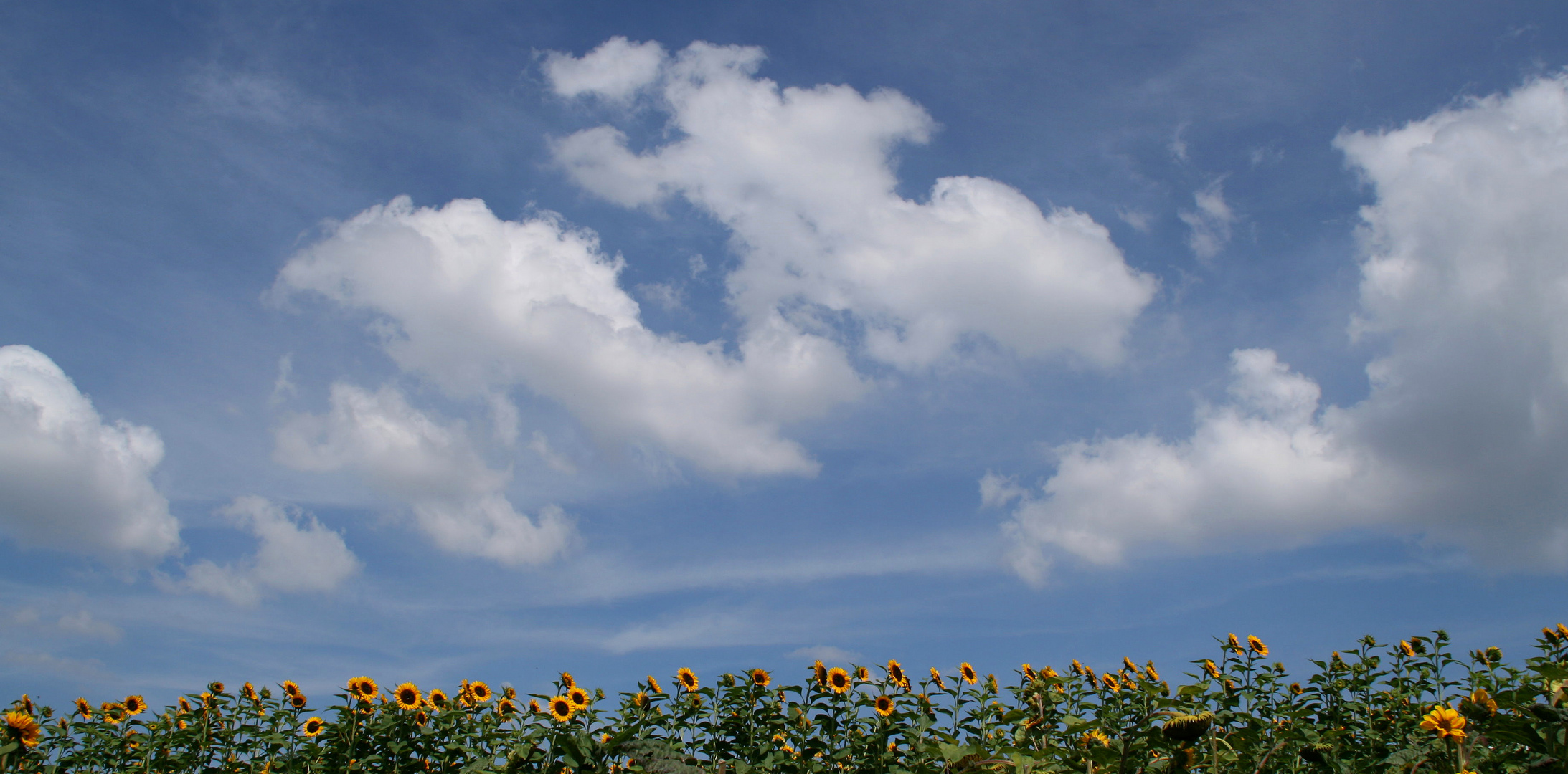 Die Wolkenschieber .....