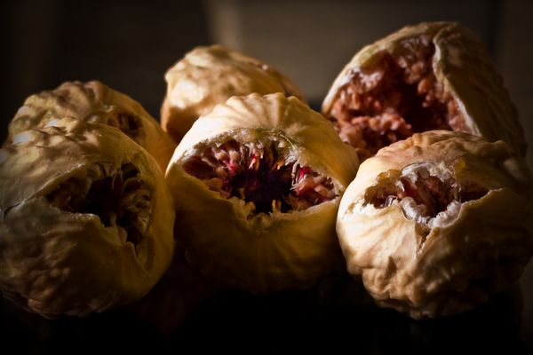 Die woll'n doch nur spielen...