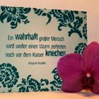 Die Worte zum Donnerstag