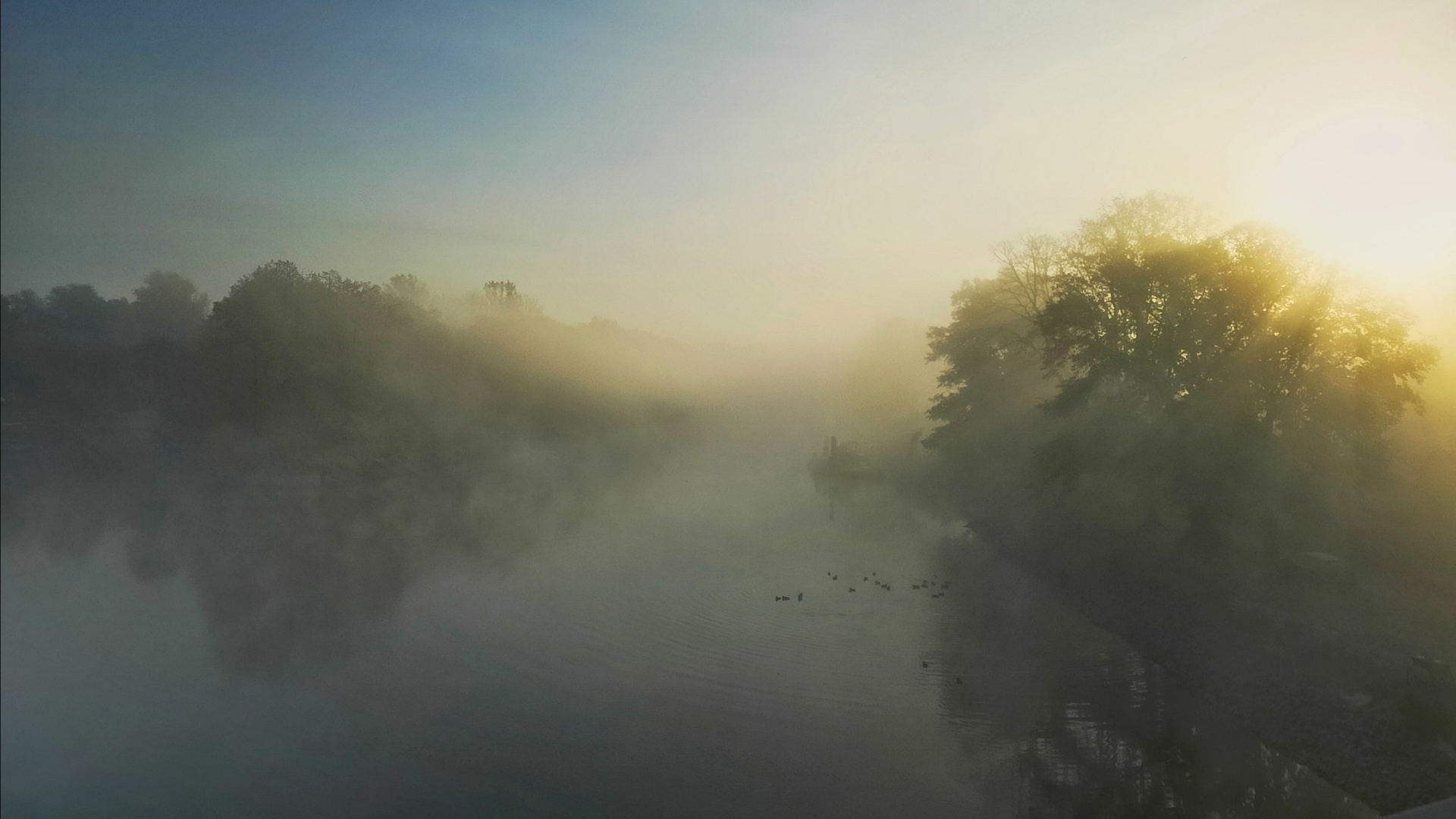 " die Wublitz im Nebel "