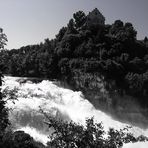 Die Wucht des Rheinfalls