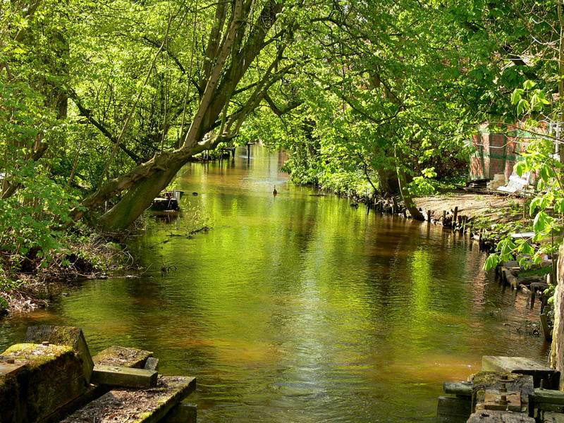 Die Wümme in Fischerhude