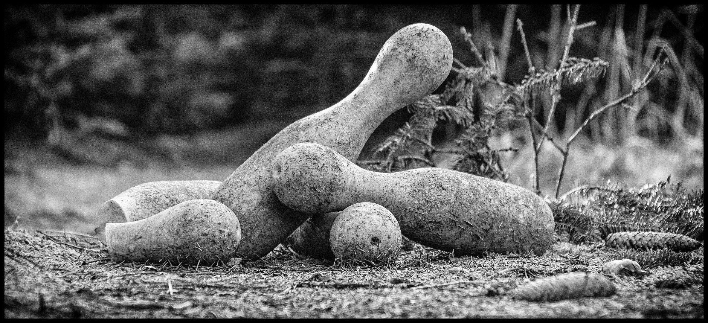 Die Würfel..........hmmm.....die Kegel sind gefallen....